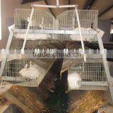 H Type & A Type & Automatic High Quality Wire Mesh Rabbit Cage For Sale thumbnail-3