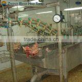 Pig Head Scalding Machine for Pig Slaughterhouse by Product Processing Room thumbnail-2