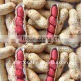 Chinese Peanut in Shell Washed thumbnail-1