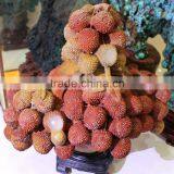 Natural Beautiful Agalmatolite Stone Lychee Tree thumbnail-4