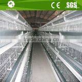 Automatic Layer Poultry a Type Chicken Cage thumbnail-4