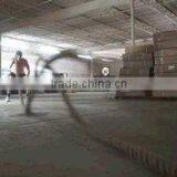 Rizhao Pegasus International Trade Co., Ltd. company overview - view 1 thumbnail