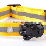 Led Stone Dog Collar thumbnail-4