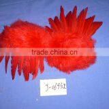 Feather Bra thumbnail-1