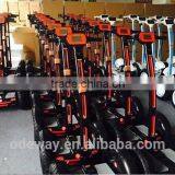 Newest 2 Wheels Scooter Adult Electric Skateboard With Handlebar