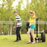 Used Electric Golf Cart Motors