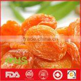 Dried Apricots With High Quality From China thumbnail-2