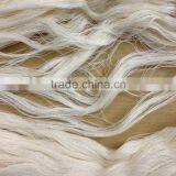 Best Quality - Gassed Mercerized Cotton Yarn. thumbnail-1