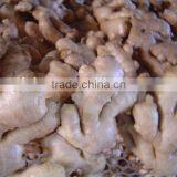 Fresh Air Dried Ginger thumbnail-4