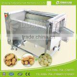 Widely Used Fruit Vegetable Washing Potato Peeling Machine Fish Sin Peeler thumbnail-2