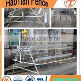 Design Chicken Egg Cage for Layers for Poultry Farm Bird Cage for Kenya Farms thumbnail-5