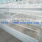 Poultry Feeding System