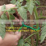 Roll Twist Ties/soft Ties for Plant Support thumbnail-1