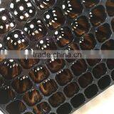 420 Cell Black HIPS Vegetable Plants Seed Nursery Trays, Stock MOQ 1000pcs thumbnail-1