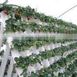 Good Quality Commercial Hydroponics Greenhouses Systems thumbnail-2