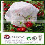 Excellent pp Nonwoven Ground Cover With UV Treated