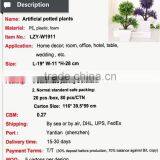 White Potted Evergreen Plants Table Centerpiece Tree thumbnail-2