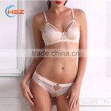 HSZ-5005 Latest Fashion Sexy Bra and Panty New Design Hollow Out Women Underwear Sexy thumbnail-2