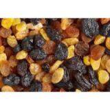 Best Quality Raisin (Golden, Green, Sultana, Sun Dried) thumbnail-1