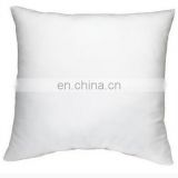 cheap Wholesale High Quality Throw feather Pillows Rectangle pillows Square pillows