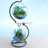 Terrarium Glass Terrarium Metal Frame Globe Ball Terrarium Planters Container Glass Flower Vase