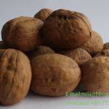 Xin2 Walnut Inshell thumbnail-3