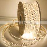 220V IP65 Waterproof 5050 Flex RGB LED Strip With PVC Coating for Home Decoration Landscape Lighting
