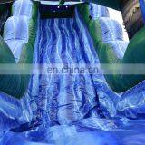Commercial Inflatable Slip n Slide Giant Inflatable Tropical Cyclone Water Slide For Sale thumbnail-4