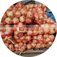 2019 New Crop Top Grade 20 KG Package Diameter > 7 cm Non-Peeled Fresh Yellow Onion for Sale