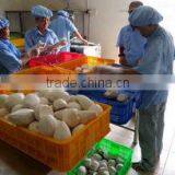 Thanh Dat Agricultural Seafood Processing Company Limited company overview - view 2 thumbnail