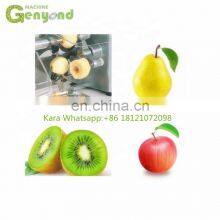 Stainless Steel Apple Persimmon Peeling Machine thumbnail-2