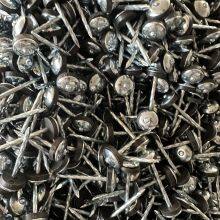 EG Umbrella Head Roofing Nails - Twist Shank Design for Durability thumbnail-3