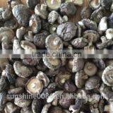 Dried Shiitake Mushroom Factory Price thumbnail-2