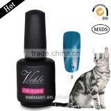 2015 NEW FACTORY SUPPLY 24 COLORS NAIL GEL POLISH CAT EYE COLOR LASER NAIL GEL POLISH OEM Quality Choice thumbnail-6
