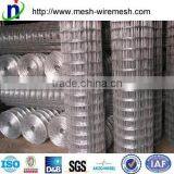 Anping 4x4/2x2 Galvanized Welded Wire Mesh