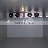 High Quality PU Sandwich Panel Cold Room/ Fruit and Vegetable Cold Storage thumbnail-2