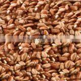 Suvimie Traditional Rice (Kuruluthuda) thumbnail-1