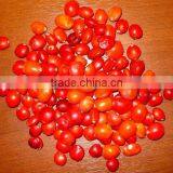 Huayruru Pure Red Natural Loose Seed Beads thumbnail-1