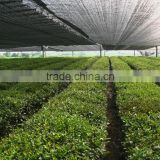 Agriculture Shade Net