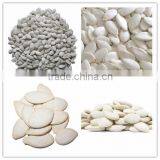 China Snow White Pumpkin Seeds Kernels With Best Price for Sale thumbnail-6