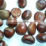 Good Price Fresh Chestnut for Sale in Dandong With Chinese Chestnuts Wholesale. Eating Chinese Chestnuts! thumbnail-3