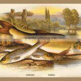 Gudgeon and Barbel 20x30 Poster thumbnail-1