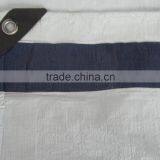 Tarpaulin(plastic Sheet) 4m*6m