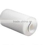 0.22 Micron 5 Inch PTFE Vent Filter for Pharmaceutical Industry thumbnail-4