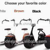 Citycoco Adult Big Wheel Fat Tire Scooter Fat Scooter Big Wheel Scooter for Outdoor thumbnail-4