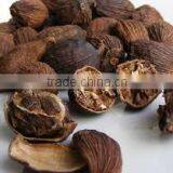 VIETNAM DRIED BLACK CARDAMOM EXPORTER (Viber/whatsaap: +84965152844) thumbnail-1