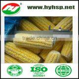 2015 New Crop Fresh Frozen Steamed Corn thumbnail-1