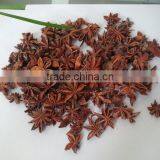 VIETNAM STAR ANISE GOOD PRICE thumbnail-1