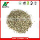 Dried Spice of Rosemary Seeds thumbnail-1