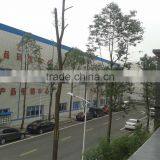 Sichuan Hongya County Yaomazi Food Co., Ltd. company overview - view 1 thumbnail